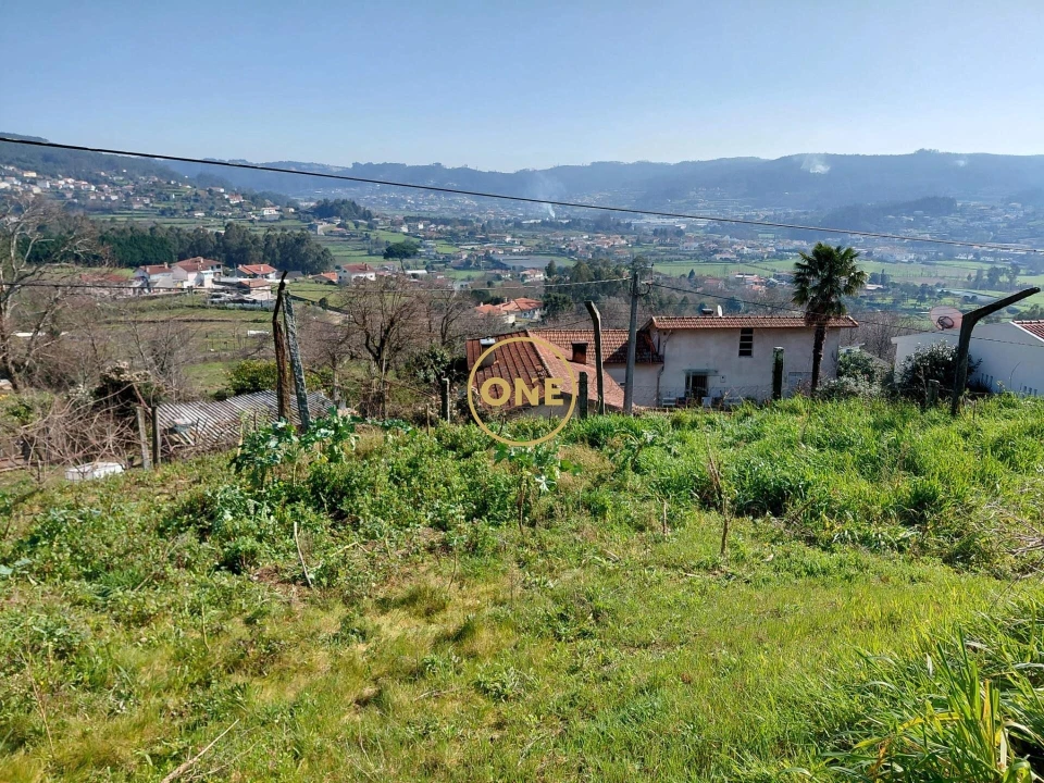 Terreno para Venda em Cruz Foto 10