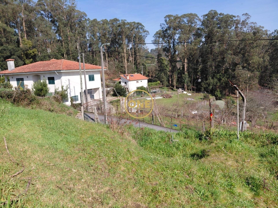 Terreno para Venda em Cruz Foto 11