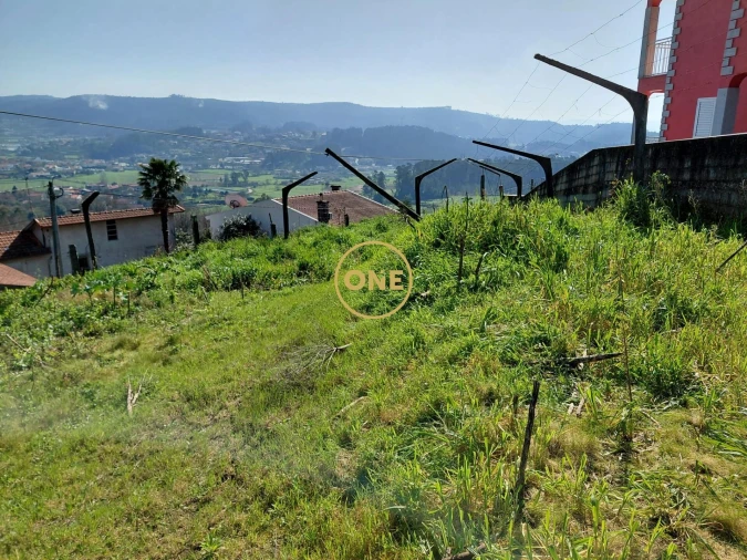 Terreno para Venda em Cruz Foto 6