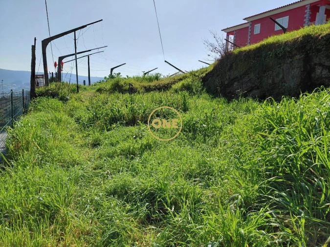 Terreno para Venda em Cruz Foto 1