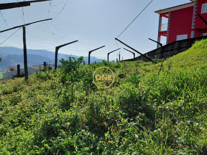Terreno para Venda em Cruz Foto 2