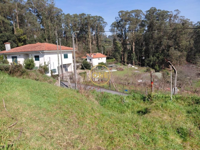Terreno para Venda em Cruz Foto 11