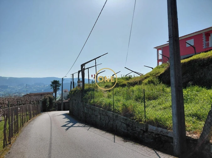 Terreno para Venda em Cruz Foto 12