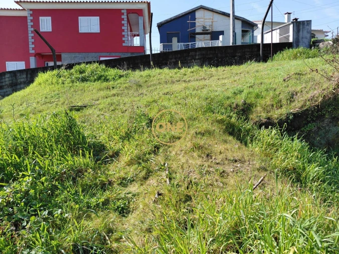 Terreno para Venda em Cruz Foto 3