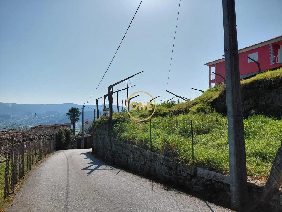 Terreno para Venda em Cruz Foto 12