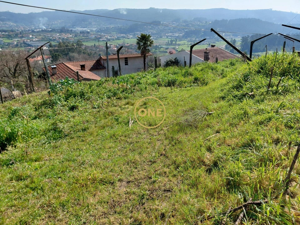 Terreno para Venda em Cruz Foto 5