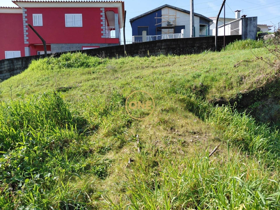 Terreno para Venda em Cruz Foto 3