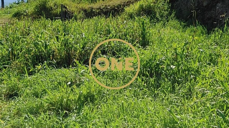 Terreno para Venda em Cruz