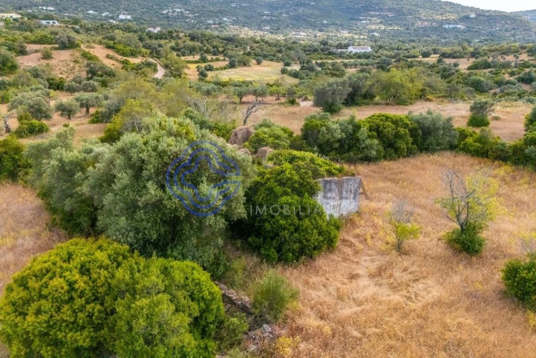 Terreno para Venda em Conceição e Estoi Foto 32