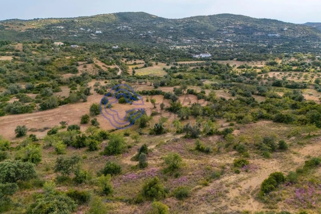 Terreno para Venda em Conceição e Estoi Foto 21