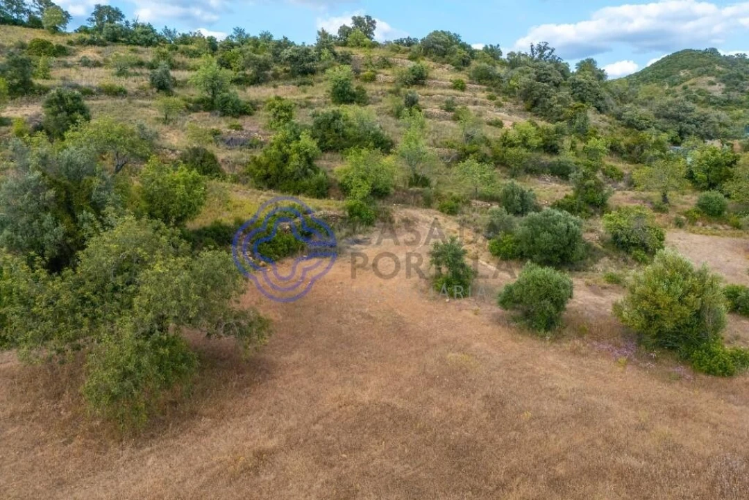 Terreno para Venda em Conceição e Estoi Foto 30