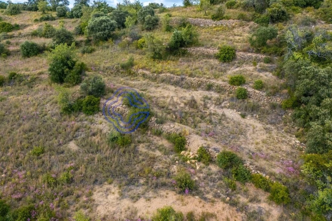 Terreno para Venda em Conceição e Estoi Foto 15