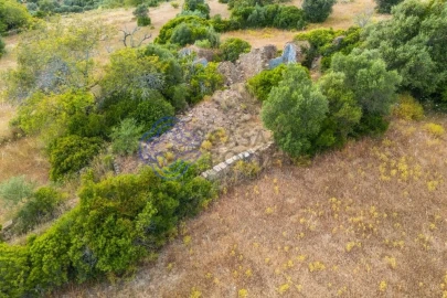 Terreno para Venda em Conceição e Estoi