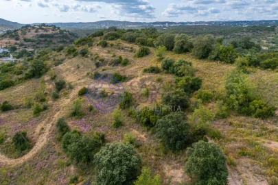 Terreno para Venda em Conceição e Estoi