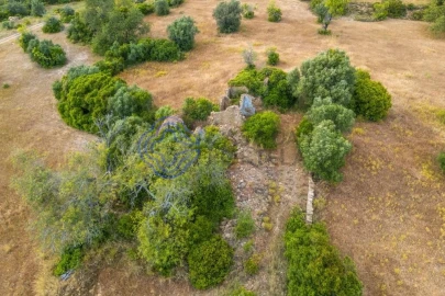 Terreno para Venda em Conceição e Estoi