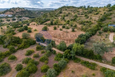 Terreno para Venda em Conceição e Estoi