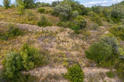 Terreno para Venda em Conceição e Estoi