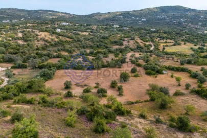 Terreno para Venda em Conceição e Estoi