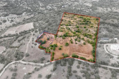 Terreno para Venda em Conceição e Estoi