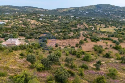 Terreno para Venda em Conceição e Estoi