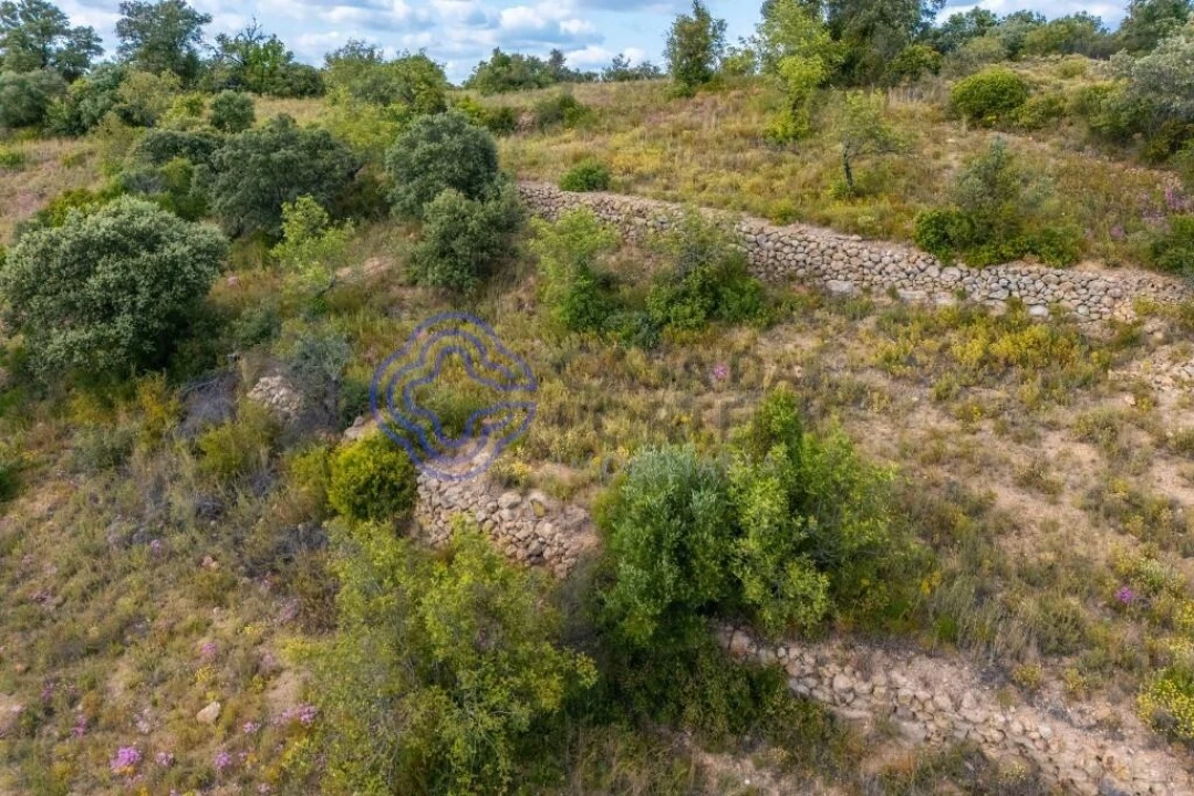 Terreno para Venda em Conceição e Estoi Foto 16