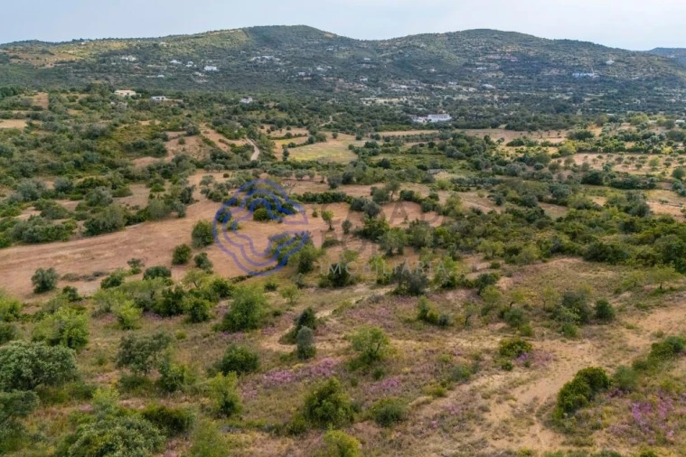 Terreno para Venda em Conceição e Estoi Foto 21