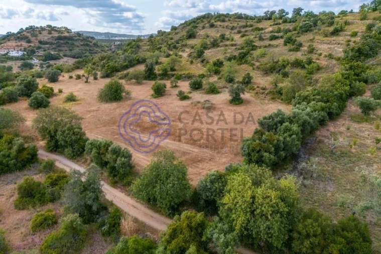 Terreno para Venda em Conceição e Estoi Foto 13