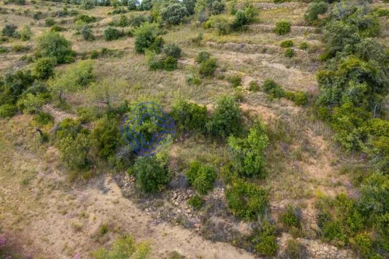 Terreno para Venda em Conceição e Estoi Foto 14