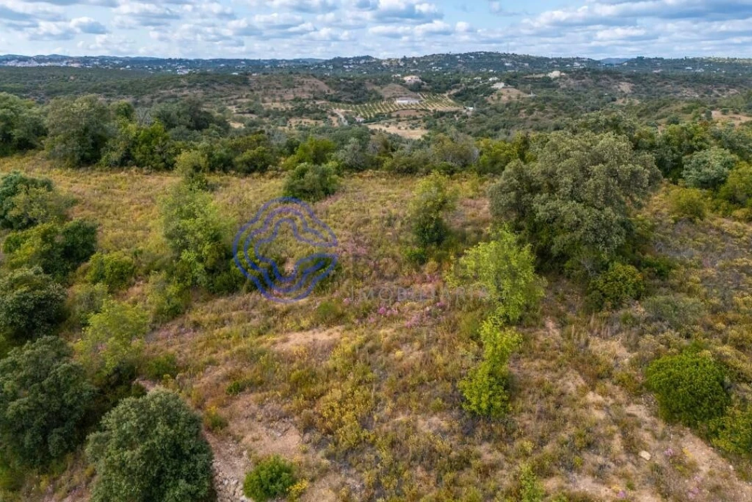 Terreno para Venda em Conceição e Estoi Foto 18