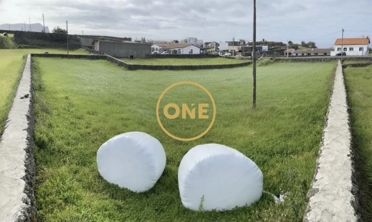 Terreno para Venda em São Mateus da Calheta Foto 2
