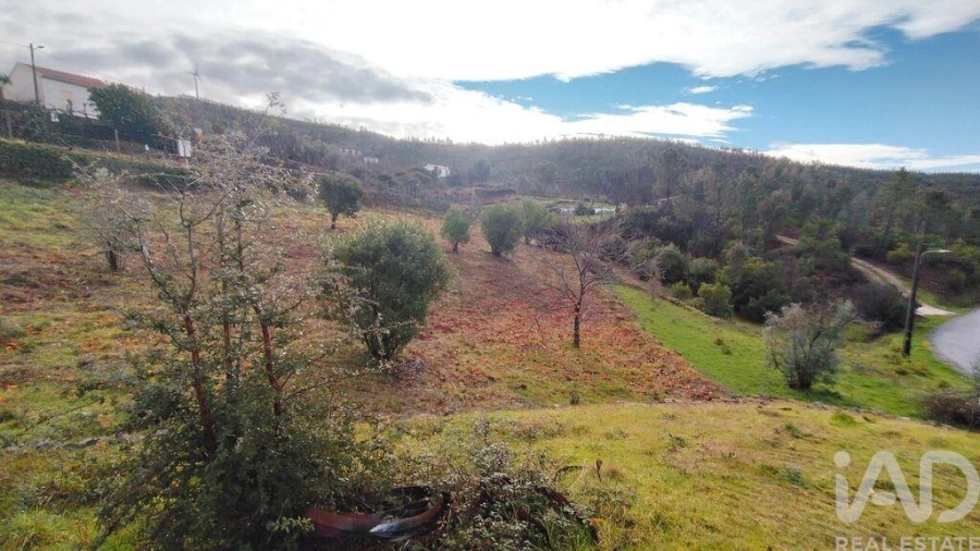 Moradia para Venda em Ermida e Figueiredo Foto 17