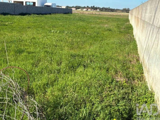 Terreno para Venda em Salvaterra de Magos e Foros de Salvaterra Foto 3