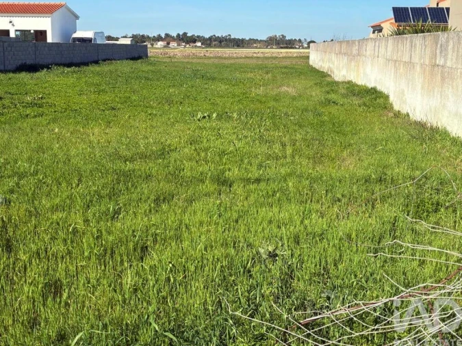 Terreno para Venda em Salvaterra de Magos e Foros de Salvaterra Foto 1