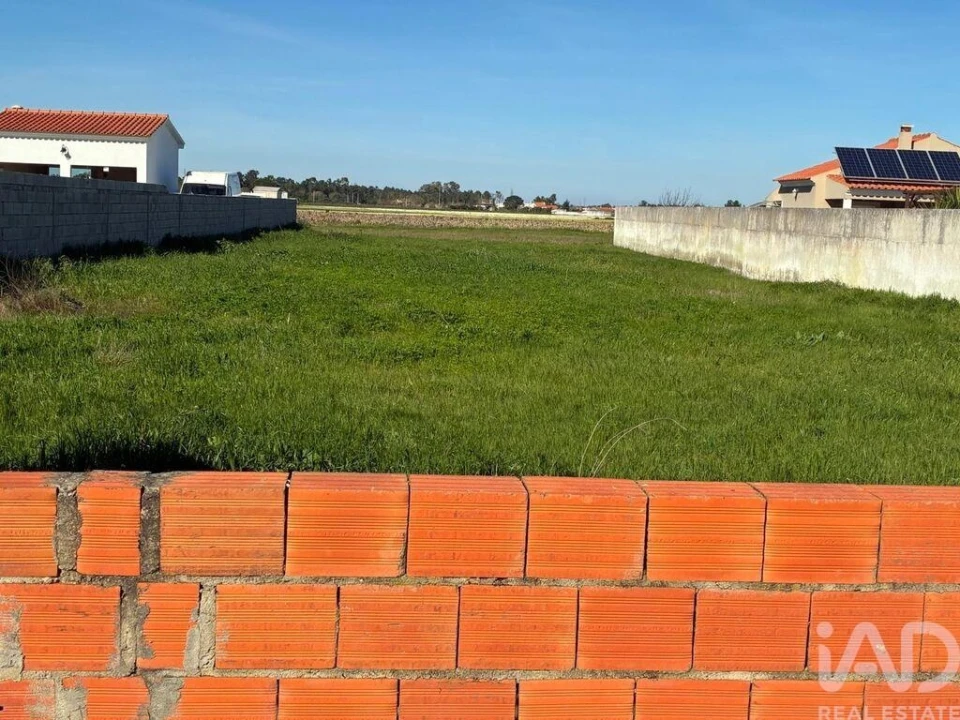 Terreno para Venda em Salvaterra de Magos e Foros de Salvaterra Foto 4