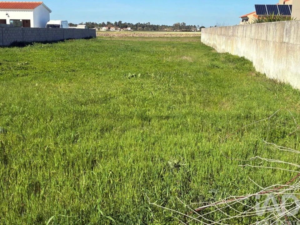 Terreno para Venda em Salvaterra de Magos e Foros de Salvaterra Foto 1