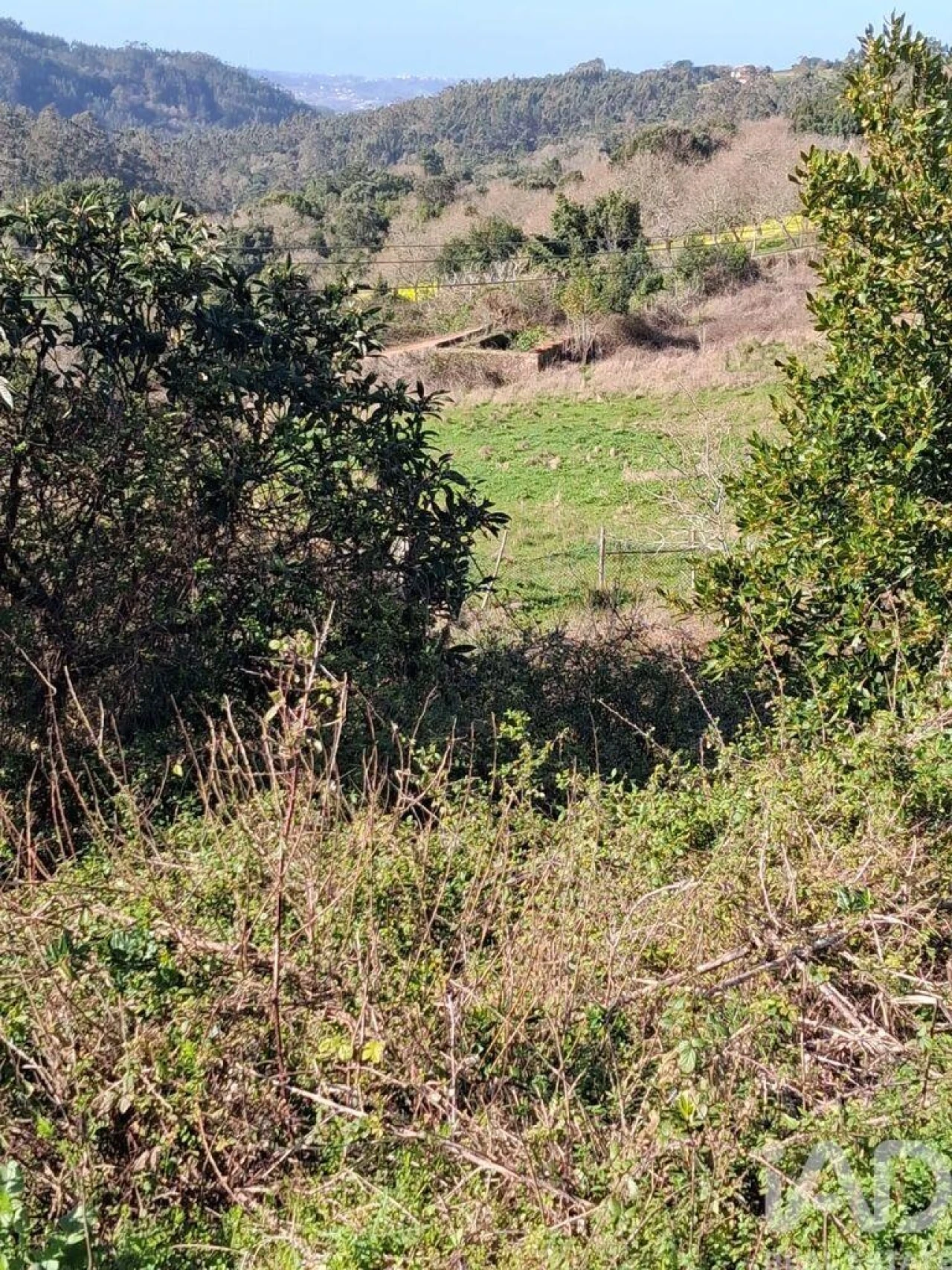 Terreno para Venda em Turquel Foto 4