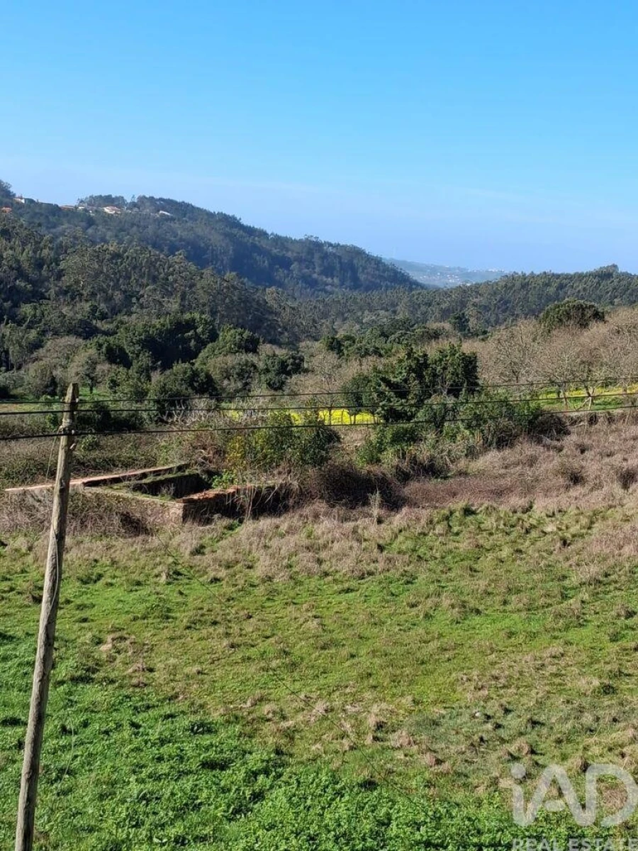 Terreno para Venda em Turquel Foto 2