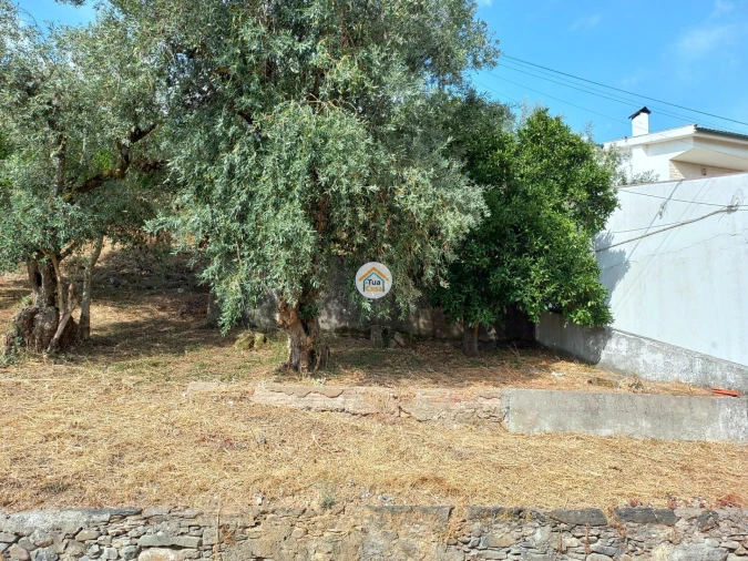 Terreno para Venda em Lousã e Vilarinho Foto 8