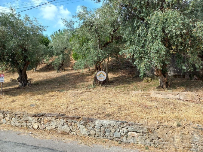 Terreno para Venda em Lousã e Vilarinho Foto 9
