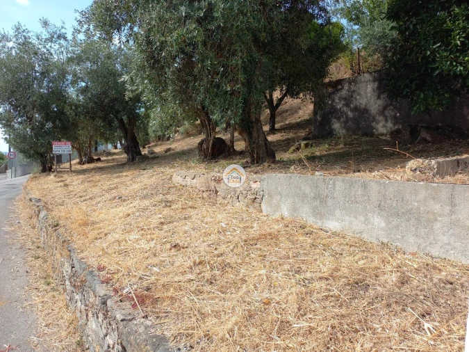 Terreno para Venda em Lousã e Vilarinho Foto 7