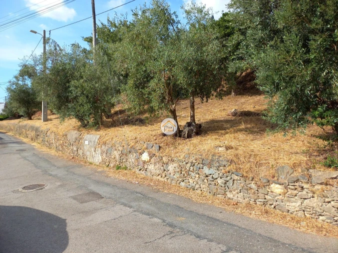 Terreno para Venda em Lousã e Vilarinho Foto 6