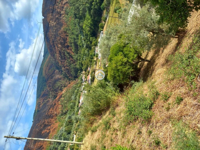 Terreno para Venda em Lousã e Vilarinho Foto 1