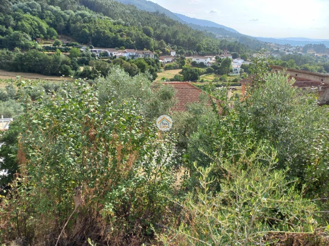 Terreno para Venda em Lousã e Vilarinho Foto 3