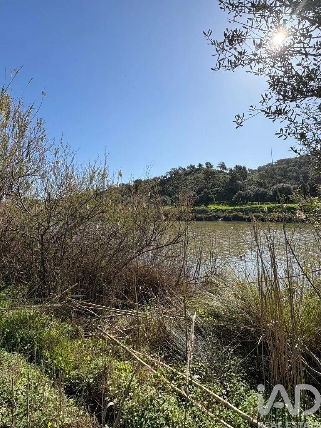 Terreno para Venda em Odeleite Foto 3