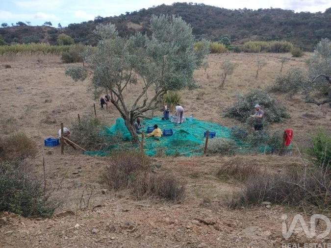 Terreno para Venda em Odeleite Foto 8