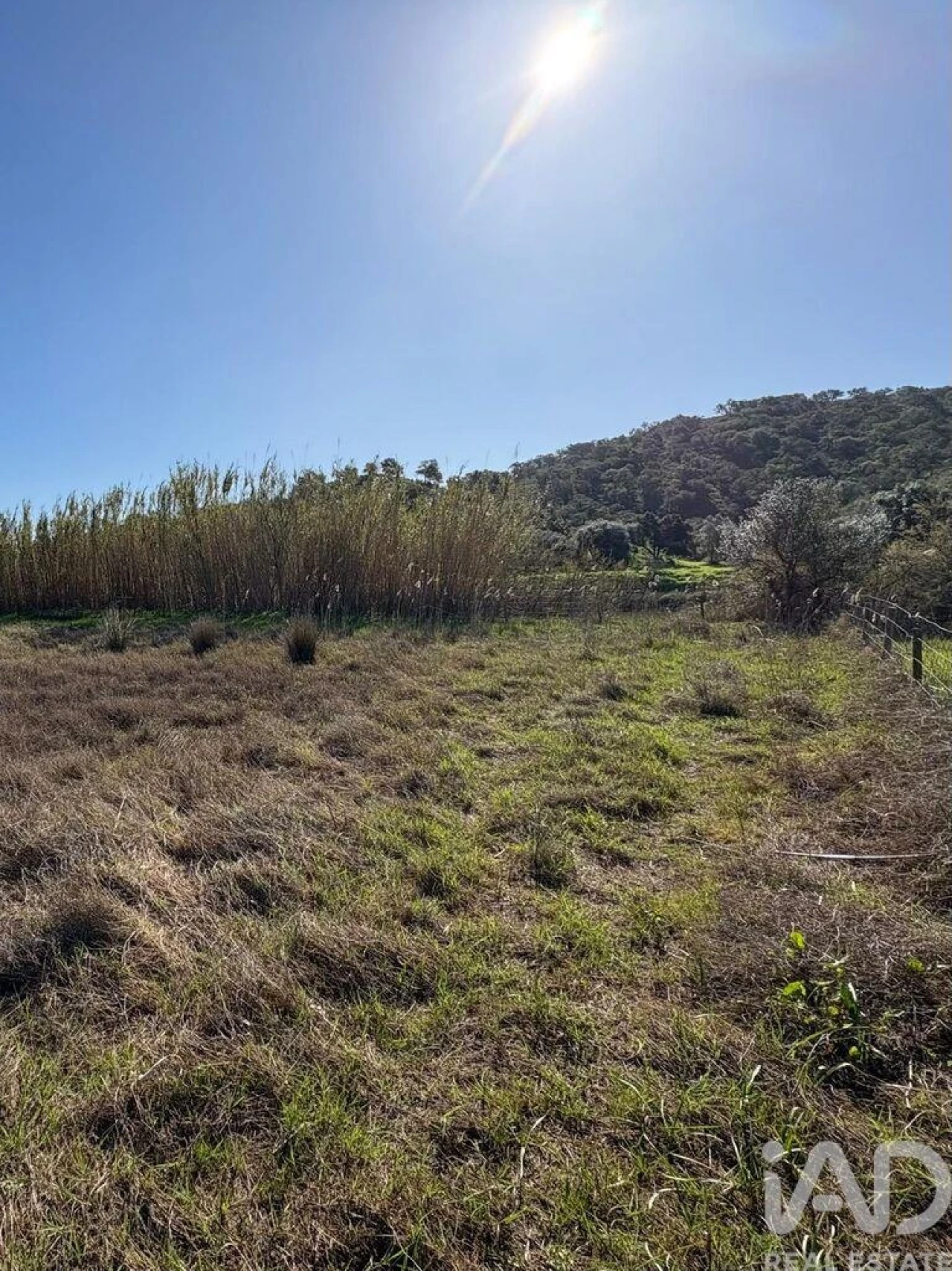 Terreno para Venda em Odeleite Foto 6