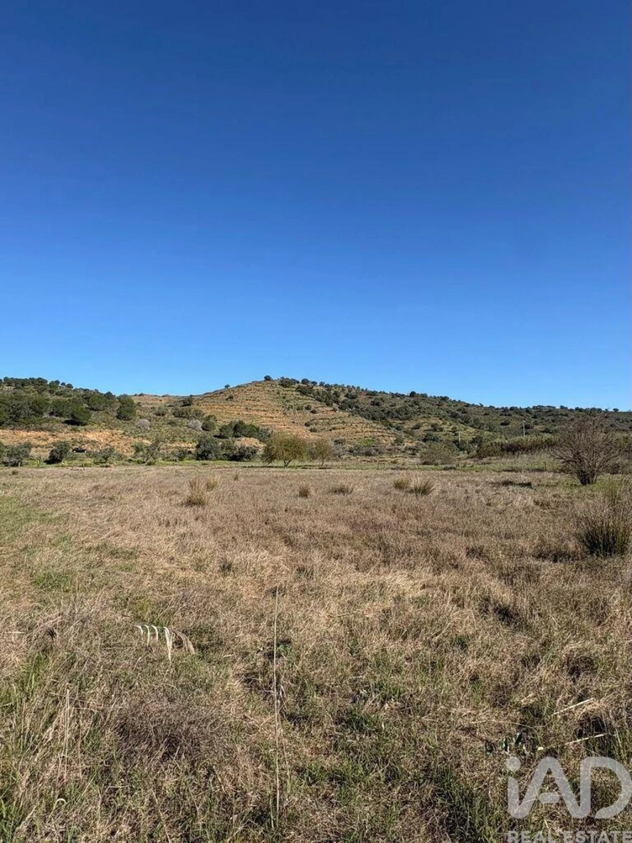 Terreno para Venda em Odeleite Foto 2