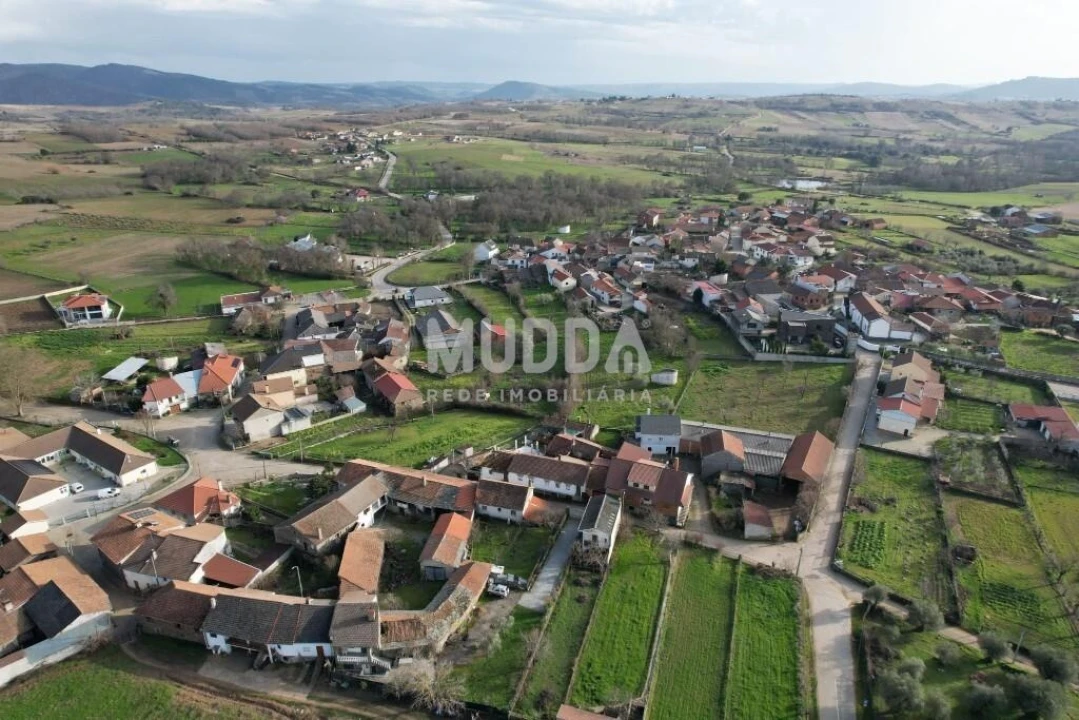 Armazém para Venda em Baçal Foto 5