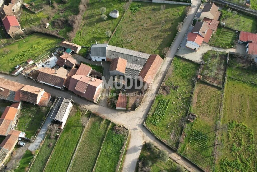 Armazém para Venda em Baçal Foto 12