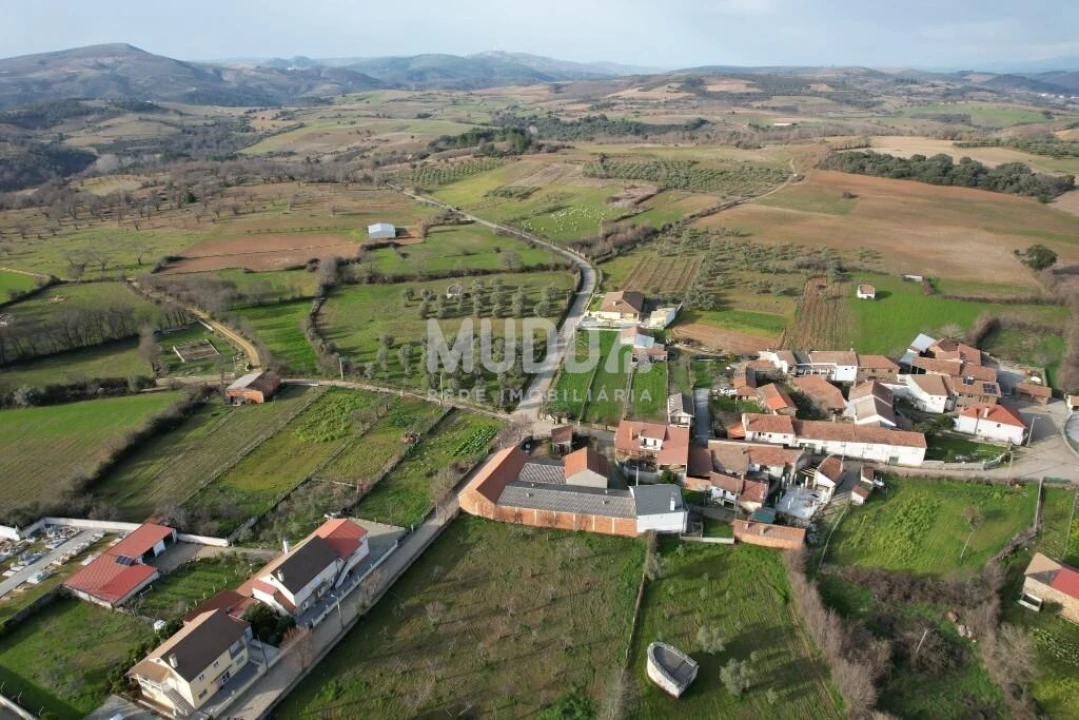 Armazém para Venda em Baçal Foto 8